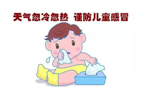 秋季感冒该吃什么好呢