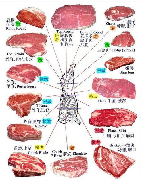 牛肉各个部位怎么烤好吃又嫩 