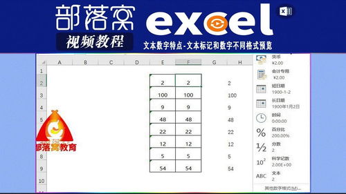 excel文本数字特点视频 文本标记和数字不同格式预览 