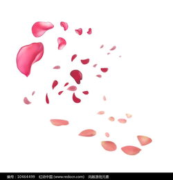 手绘粉色飘落的花瓣装饰元素