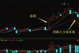 股票名称后面带个A是什么意思，比如“方大A" ?