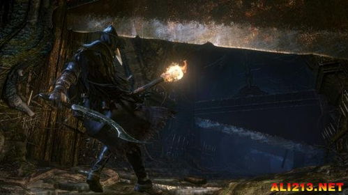 烈焰神兽登场 PS4独占 血源诅咒 Bloodborne 再曝全新截图及概念图 