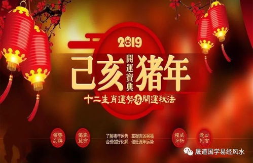 生肖马 2019年财运提升,凡事稳中求发展,如何旺上加旺