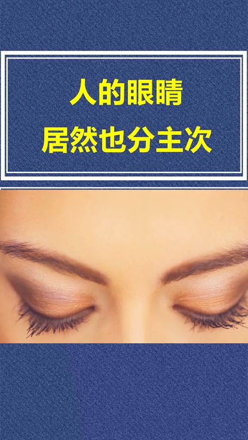 主副眼冷知识(主副眼是什么意思)(主眼与副眼)