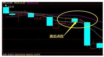 说这支股票价格 站上了五日线和十日线说明什么？