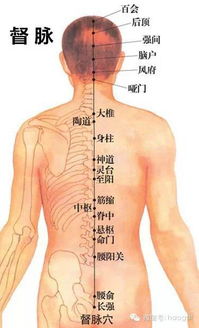 老中医私藏 口诀虽短,对治疗颈椎病有奇效