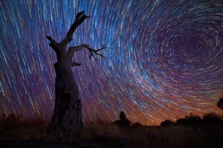 摄影师拍摄夜空星轨图绚丽如万花筒 信息图文欣赏 信息村 K0w0m Com