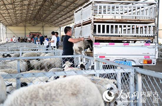 贵州三大牛羊交易市场 是那三个 要详细地址 知道的给10分 谢谢