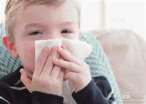 治疗小儿鼻炎的药有哪些