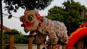 中山的土地诞辰日 农历二月初二