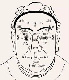 玄学面相大师 脸上有这三个标志,财神爷主动找上门,绝对富贵相