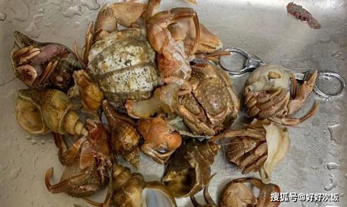 东北人最爱吃的海鲜,明明是蟹,却被叫 虾 ,吃过就忘不了
