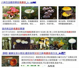 17c爆料独家揭秘蘑菇内幕,掌握鉴别与使用指南  蘑菇产业黑幕曝光,了解最新安全食用排行