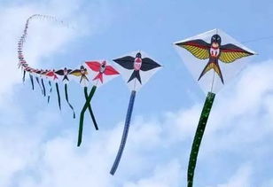 亚中凤凰购物邀请您 拥抱春天 放飞梦想 DIY彩绘风筝等您来参加