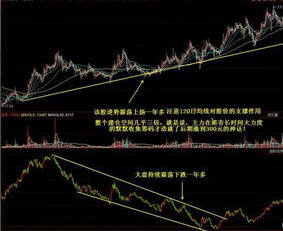 决定股市好坏的关键因素是哪些？是资金？经济？还是别的？