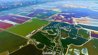 航拍中国 死海 湖水变色多彩画卷 