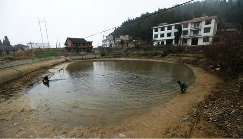 塘河北村去青山湖怎样坐车去(塘河北村地上停车场免费吗)