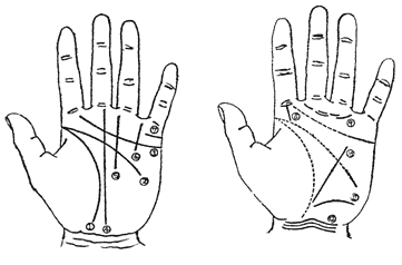 手相全套 手掌纹路与掌纹算命图解全有了 