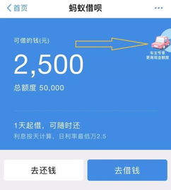 有用过支付宝车金融的吗？为什么是微贷网打电话，然后线下审核还是不知名的公司。麻烦解说一下，谢谢！！