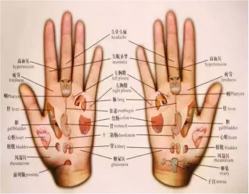 手掌知健康,身体的疾病都可以在手上找到,值得收藏