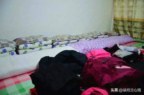 独生女骗光父母血汗钱加入传销,逃出来后没脸回家投奔网友被嫌弃