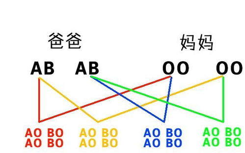 妈妈是O型血,宝宝不会是AB型血,这些血型遗传规律你知道吗