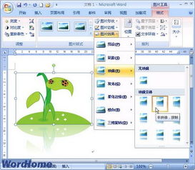 在Word2007文档中设置剪贴画映像 