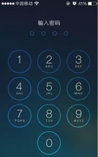 苹果手机怎么查自己的id的密码 
