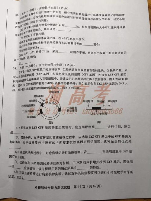 高三的三次质检考试的意义是什么，考得不好 会影响上大学吗