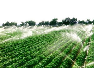 灌溉水质标准(农田灌溉水质标准)