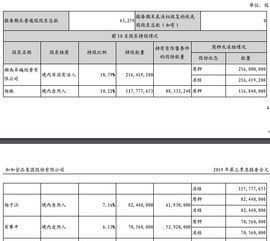 如何关注是否存在质押，冻结等对变现有限制或存放在境外的款项