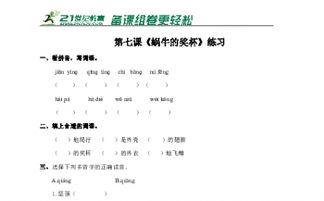 闪光的奖杯教学反思