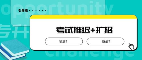 考试推迟 扩招 今年的山东专升本上线概率大