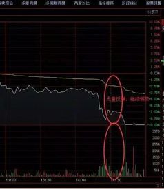 量比参数问题