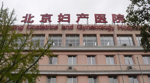 2024年北京妇产医院建档攻略！全网最简略！！！