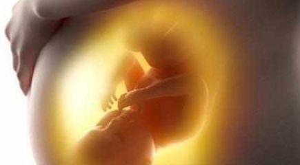 原创胎儿在腹中重要的2次大脑发育“高峰期”，孕妈错过就太可惜了！