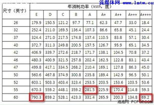 不同规格的金湖蒸化机占地面积与处理能力的比例关系如何？