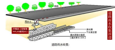 市政道路雨水收集利用 图片欣赏中心 急不急图文 Jpjww Com