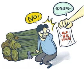 茂密森林变平地,疯狂滥伐终获刑