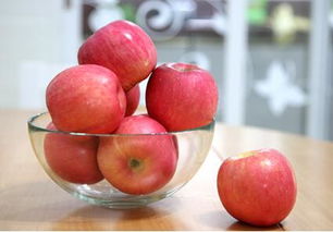 五个月柯基可以吃多少苹果？