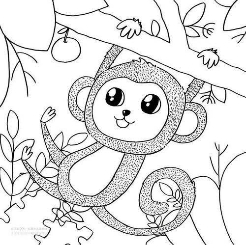 儿童画教程 探秘神奇的动物世界 丛林中的小猴子