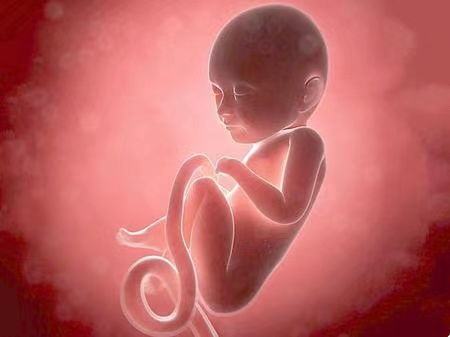 胎宝宝 胎宝宝在孕妈肚子里的每天都在干什么
