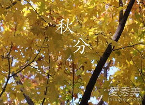 秋分是什么意思秋分节气的含义是什么 爱秀美 