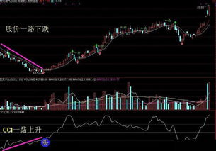 用什么技术指标可准确判断个股走势