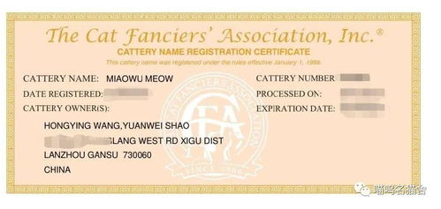 科普CFA猫协会血统证书