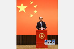 习近平参加北京市区人大代表换届选举投票 