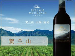 为什么中国贺兰山东麓葡萄酒交易网的葡萄酒价格低呢？