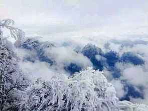 残雪 巫文化基础