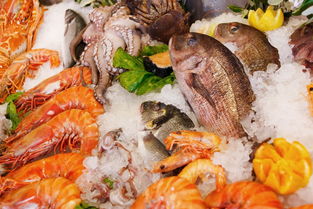 鱿鱼属于海鲜吗,哪些食物属于海鲜类？