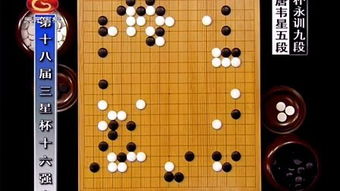 围棋*对局视频教学完整版,天元围棋频道哪里可以看